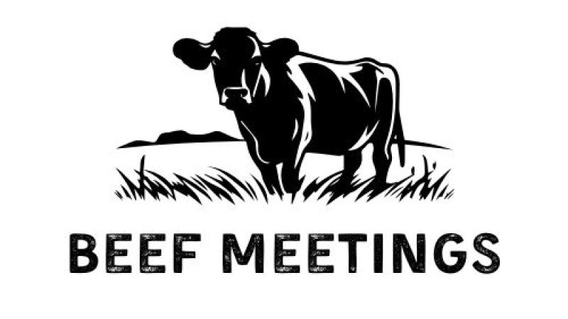 Beef Meetings