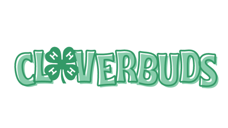 CLOVERBUD