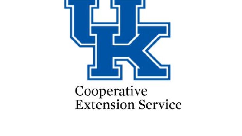 UK CES